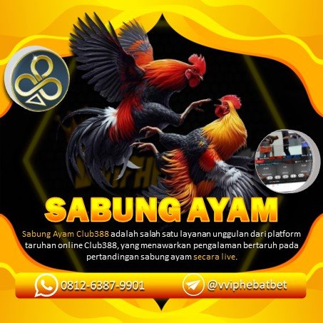 Sabung Ayam